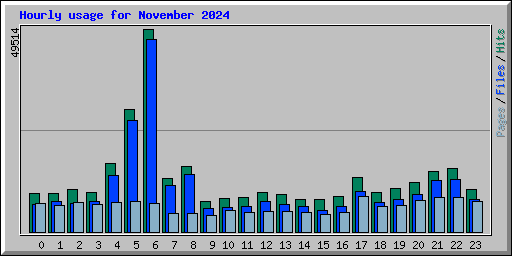 Hourly usage for November 2024