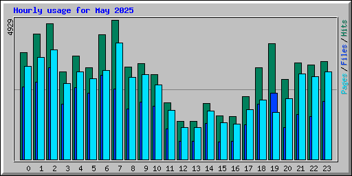 Hourly usage for May 2025