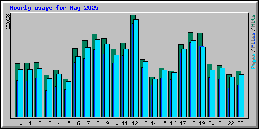 Hourly usage for May 2025