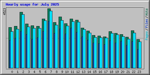 Hourly usage for July 2025